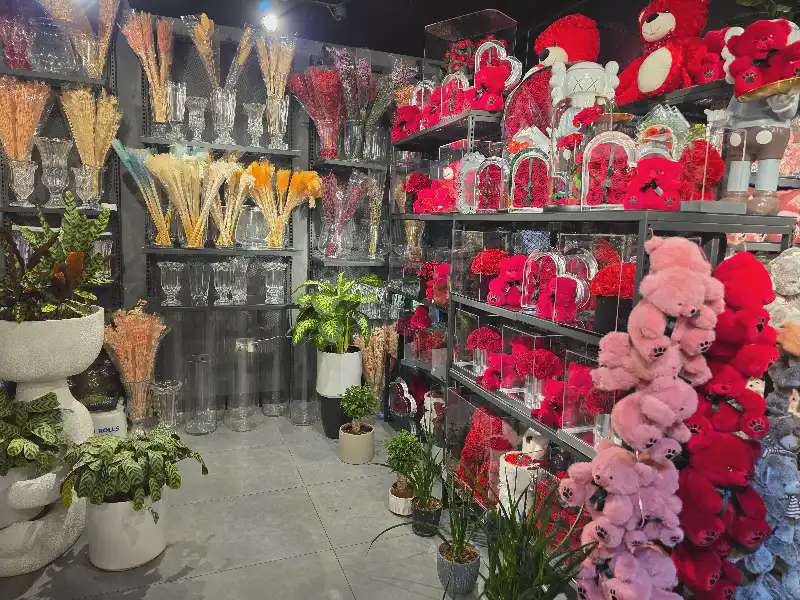 تصویر شماره 5