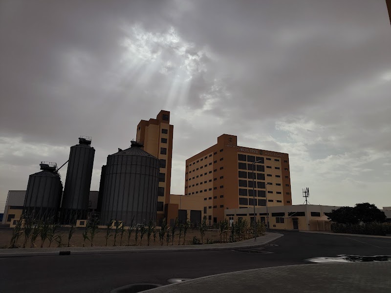 تصویر شماره 1