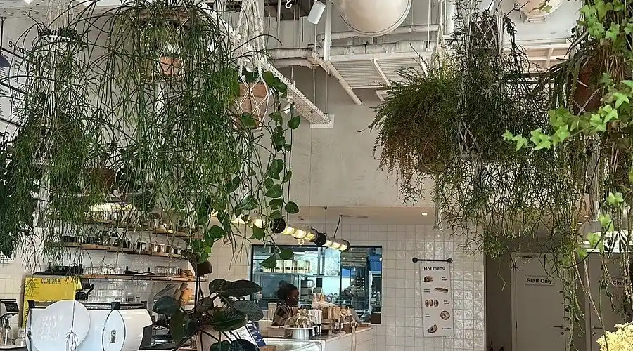 تصویر شماره 2