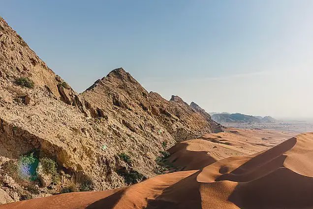 Sharjah's Nature Resorts See 5% Rise in August Guests